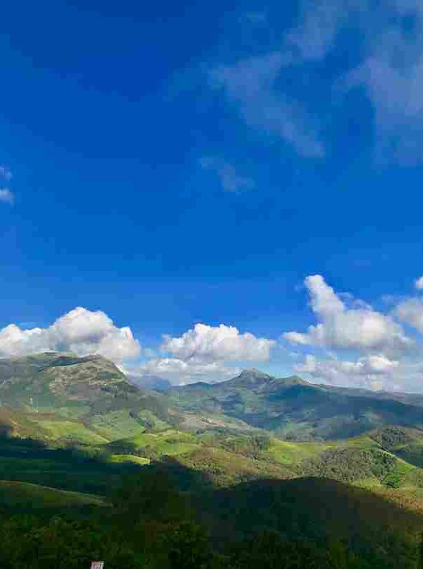 Place visit in Munnar