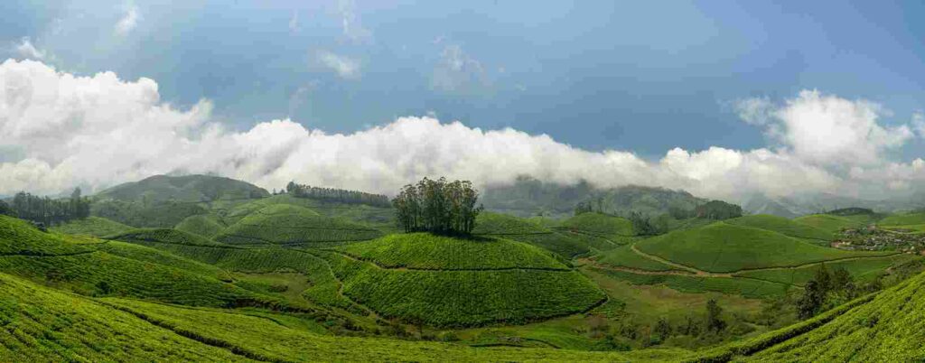 Munnar Tourist Places